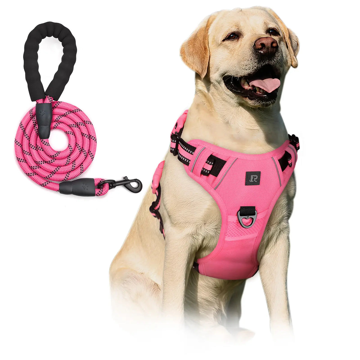No-Pull Dog Harness and Leash Set (2 Pcs/Set), Leash Included, Reflective Adjustable Harness with Chest Strap and Handle, Escape-Proof Soft-Padded Pet Vest for Small to Large Dogs #GLOBAL PICKS