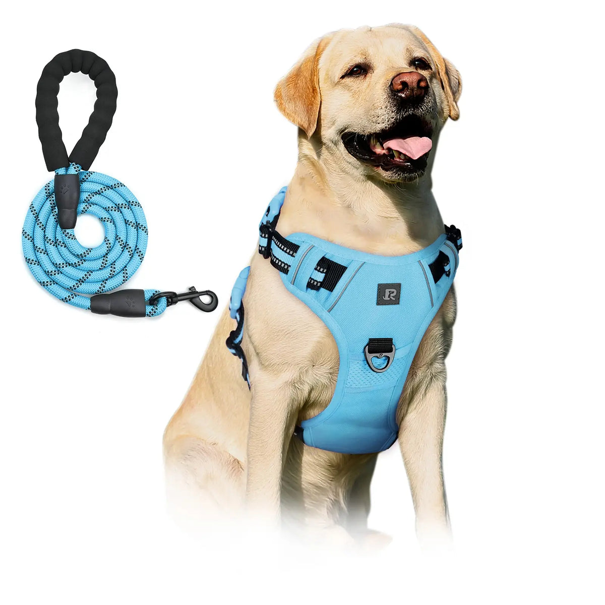 No-Pull Dog Harness and Leash Set (2 Pcs/Set), Leash Included, Reflective Adjustable Harness with Chest Strap and Handle, Escape-Proof Soft-Padded Pet Vest for Small to Large Dogs #GLOBAL PICKS