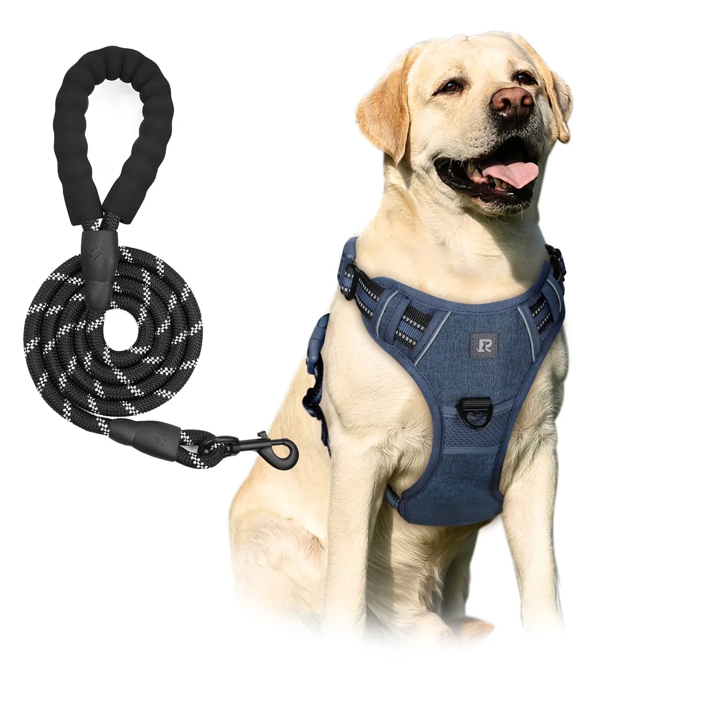 No-Pull Dog Harness and Leash Set (2 Pcs/Set), Leash Included, Reflective Adjustable Harness with Chest Strap and Handle, Escape-Proof Soft-Padded Pet Vest for Small to Large Dogs #GLOBAL PICKS