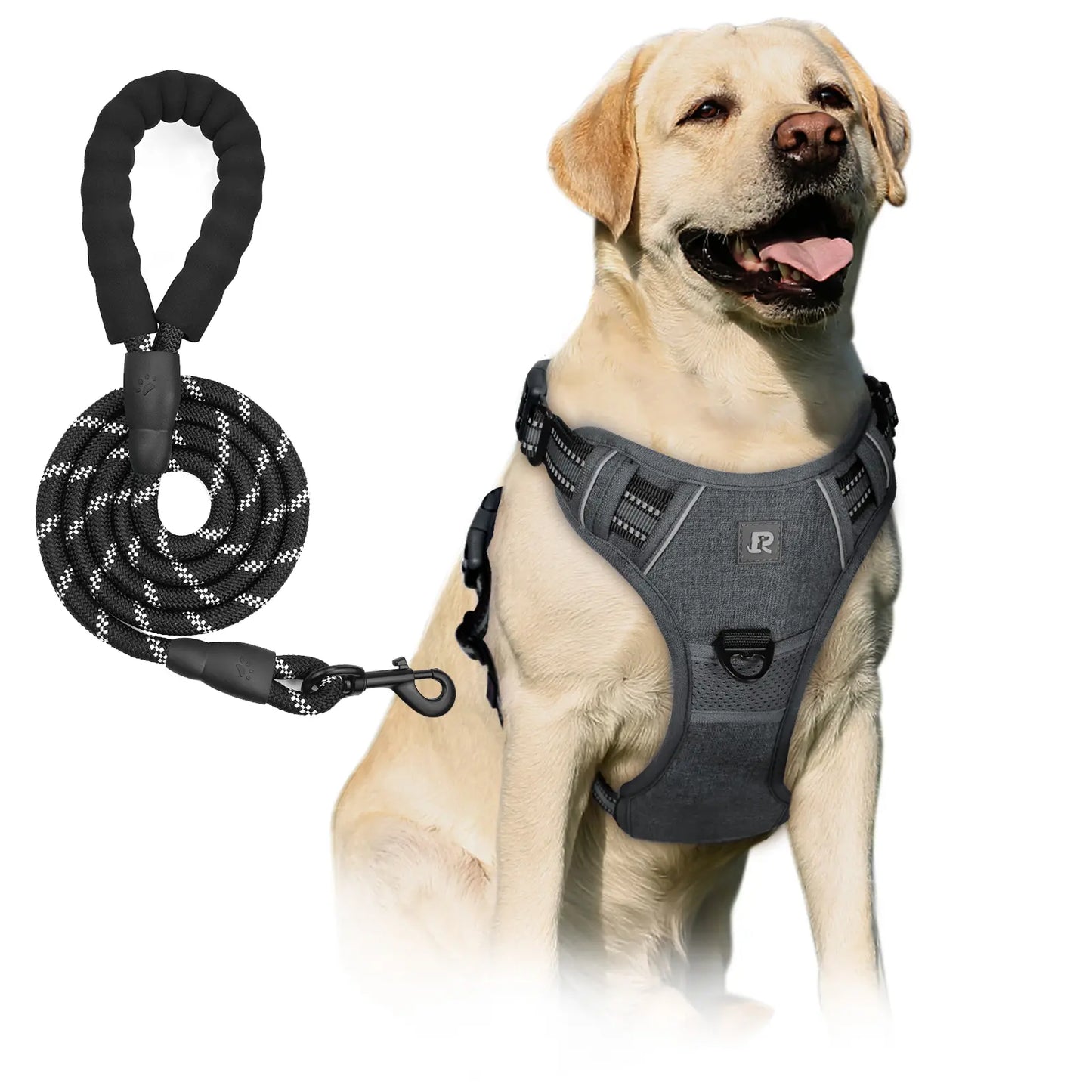 No-Pull Dog Harness and Leash Set (2 Pcs/Set), Leash Included, Reflective Adjustable Harness with Chest Strap and Handle, Escape-Proof Soft-Padded Pet Vest for Small to Large Dogs #GLOBAL PICKS