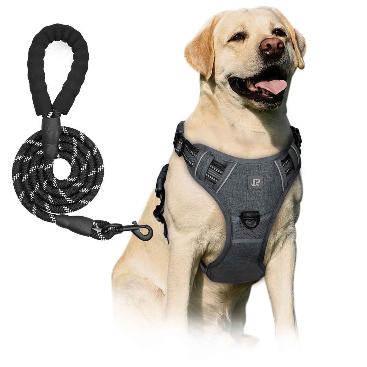 No-Pull Dog Harness and Leash Set (2 Pcs/Set), Leash Included, Reflective Adjustable Harness with Chest Strap and Handle, Escape-Proof Soft-Padded Pet Vest for Small to Large Dogs #GLOBAL PICKS