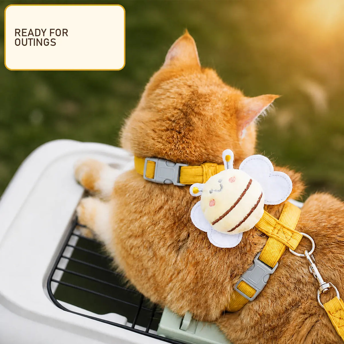 Ihubei Adorable Cat Bee Costume Adjustable Safety Harness & Leash Set - Anti-Escape, Soft Fabric, Lightweight, Sturdy Lock, Safe Walks for Small/Medium Cats, Rabbits (Leads & Harnesses), Set Includes