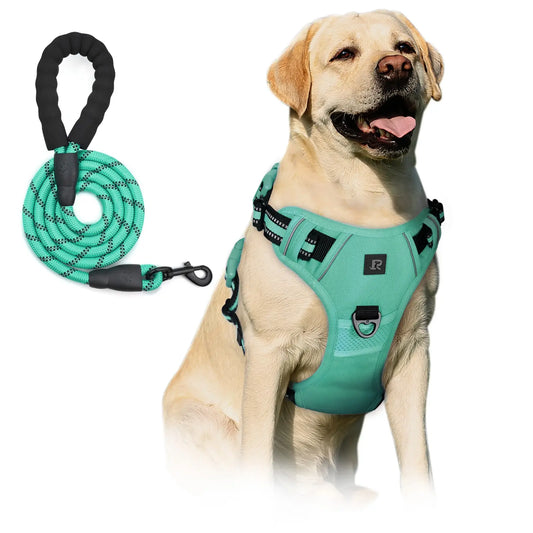 No-Pull Dog Harness and Leash Set (2 Pcs/Set), Leash Included, Reflective Adjustable Harness with Chest Strap and Handle, Escape-Proof Soft-Padded Pet Vest for Small to Large Dogs #GLOBAL PICKS