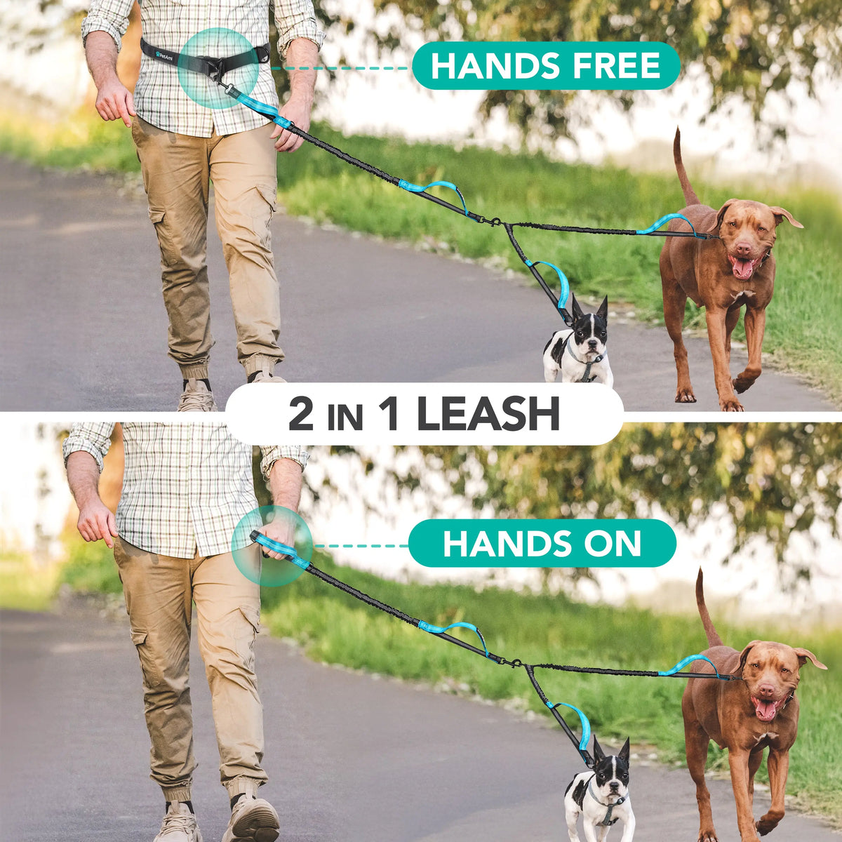 Padded Hands Free Dog Leash Belt - Dual Dog